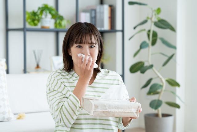 花粉が気になる季節におすすめ！洗濯代行サービスで快適な暮らしを